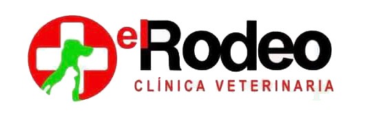 gallery/veterianariaelrodeo